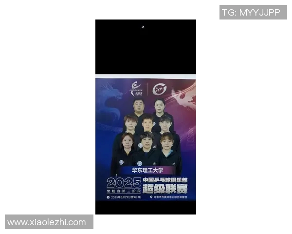 乒乓球个人能力排行榜揭晓上海乒乓球队荣获第三名佳绩