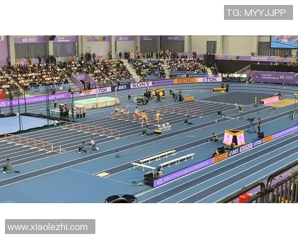 南京羽毛球队在锦标赛中的个人能力分析与表现评估 南京羽毛球队在锦标赛中的个人能力分析与表现评估