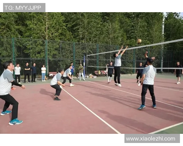 排球灵活性排行榜揭晓北京排球队荣获第五名佳绩 排球灵活性排行榜揭晓北京排球队荣获第五名佳绩