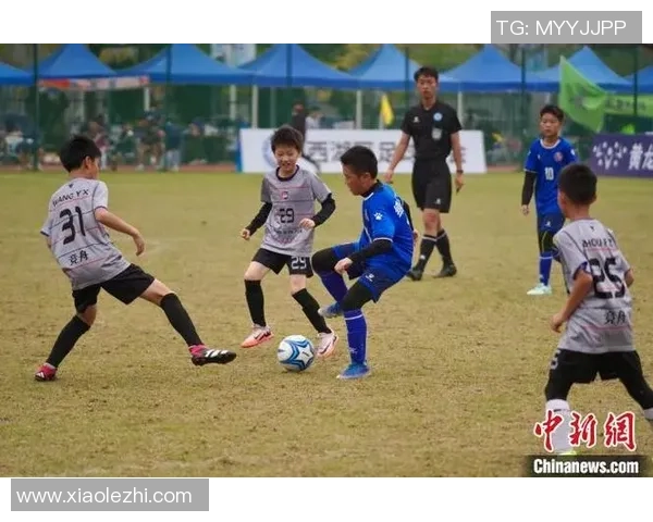 杭州足球队强势领跑足球状态排行榜展现卓越竞技实力