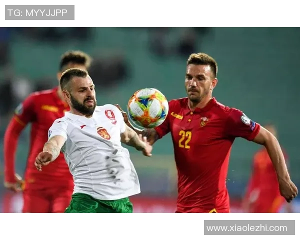 塞尔维亚足球明星盘点他们在国际赛场上的辉煌成就与影响力 塞尔维亚足球明星盘点他们在国际赛场上的辉煌成就与影响力