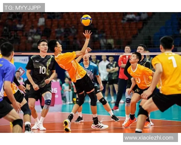 排球心理素质评比揭晓上海排球队荣登第八名引关注
