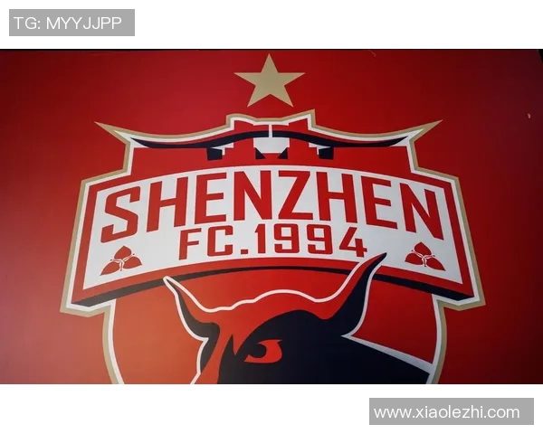 深圳乒乓球队实力分析与发展前景探讨之路 深圳乒乓球队实力分析与发展前景探讨之路