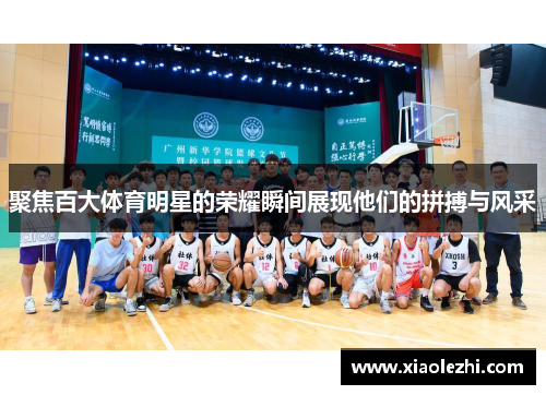 聚焦百大体育明星的荣耀瞬间展现他们的拼搏与风采